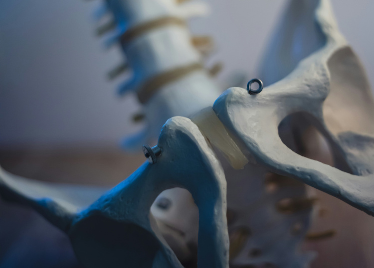 Bekkenkontroll: 4 steg til bedre kroppsholdning, rygghelse og&nbsp;rumpestyrke