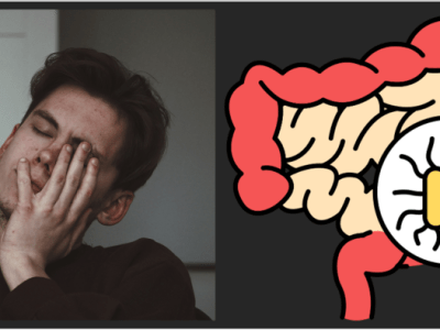 Tegn på forstyrret&nbsp;tarmflora